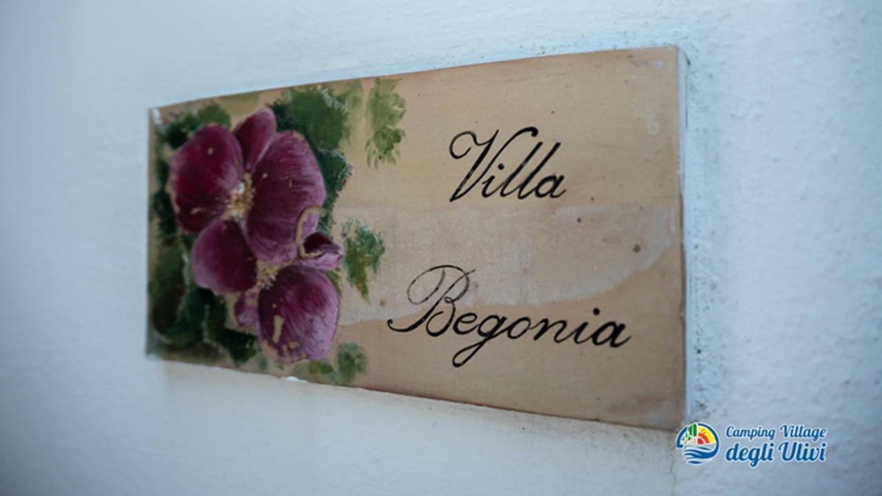 Camping Village Degli Ulivi Маттіната Екстер'єр фото