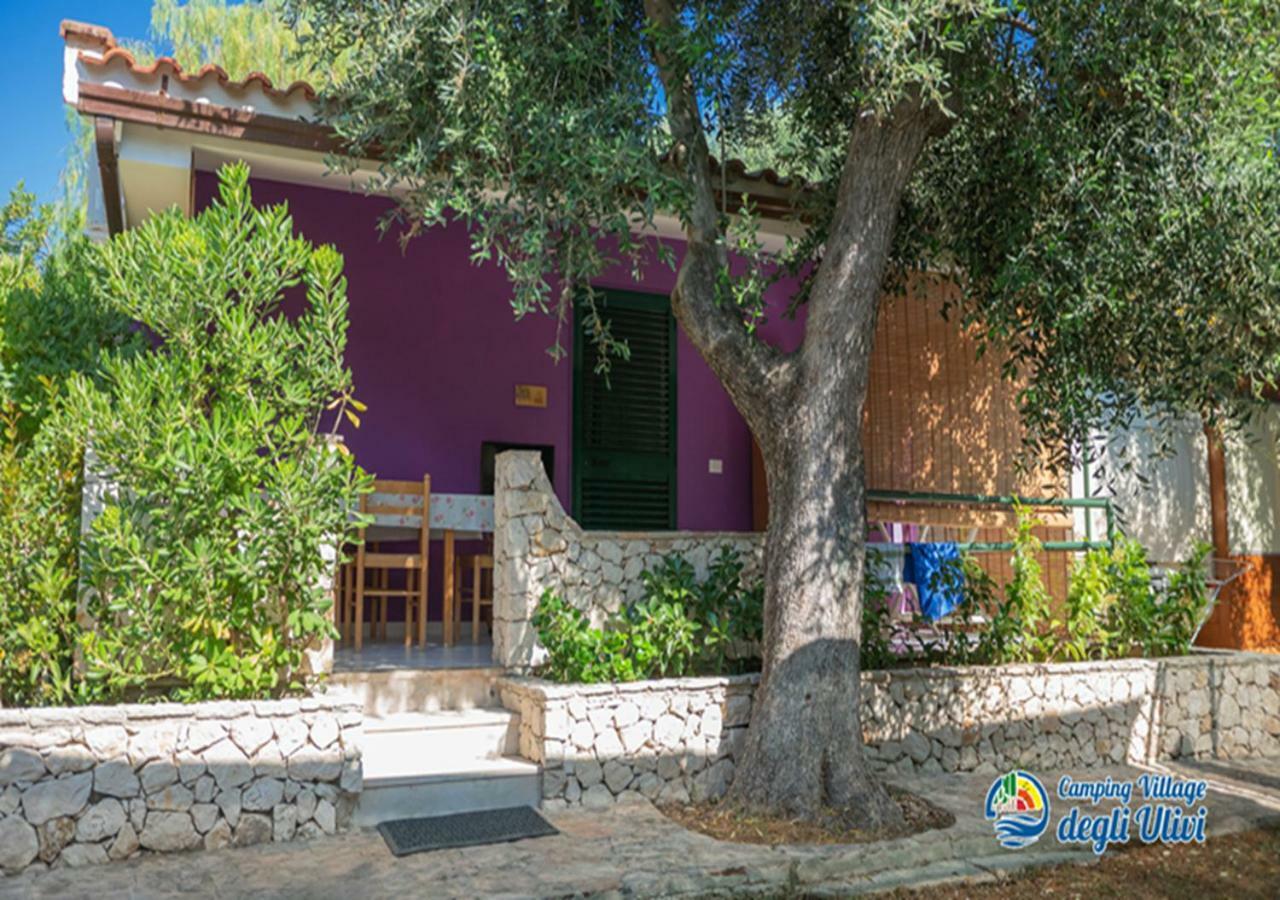 Camping Village Degli Ulivi Маттіната Екстер'єр фото